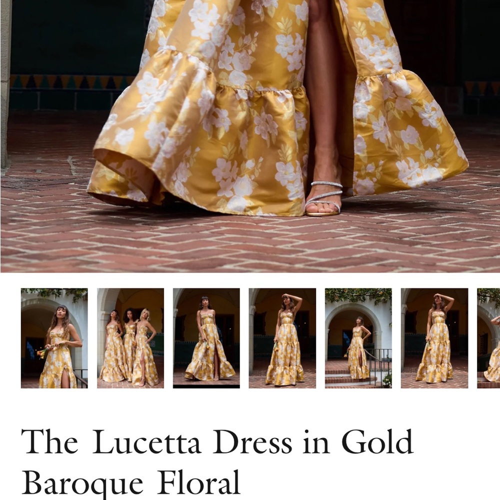 V. Chapman Gold Baroque Floral Backless Dress